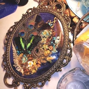 Beautiful REAL Butterflies in Ornate vintage convex glass frame ❣️